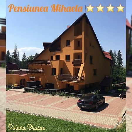 Pensiunea Mihaela 波亚纳布拉索夫 外观 照片