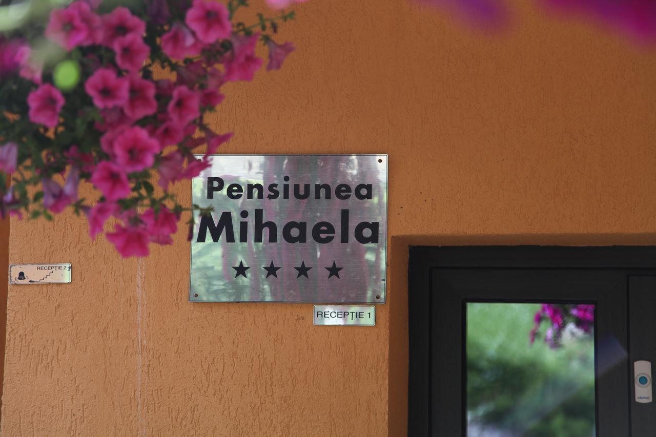 Pensiunea Mihaela 波亚纳布拉索夫 外观 照片